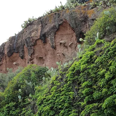 Oda ve Kahvaltı Bassu Bosa