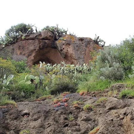 Oda ve Kahvaltı Bassu